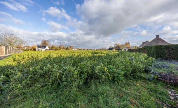 Deerlijk Otegemse Steenweg 
